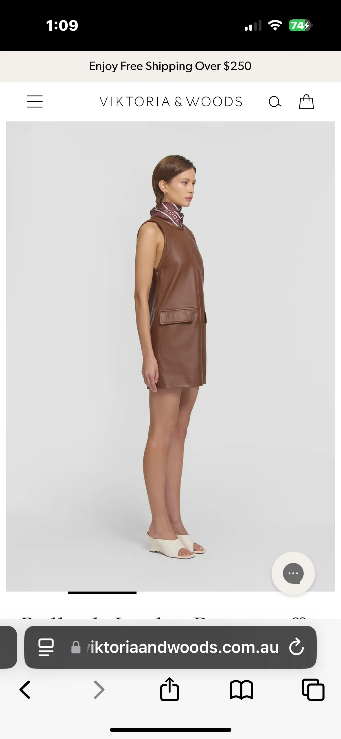 Badlands Leather Dress in Copper